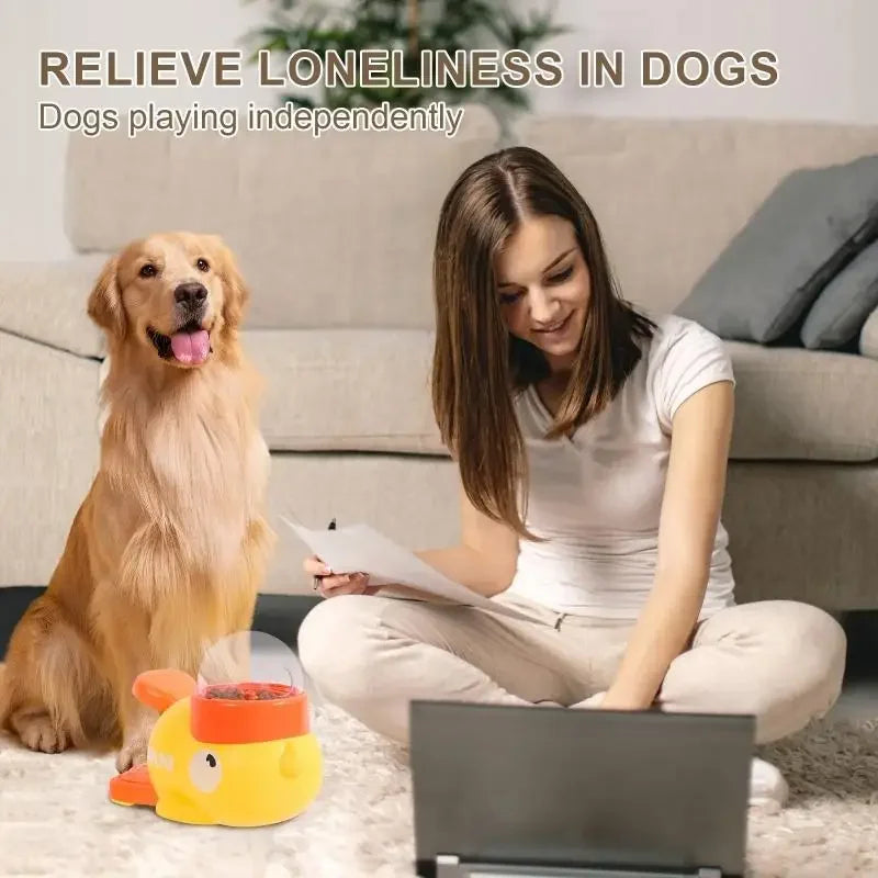 PawsFeeder