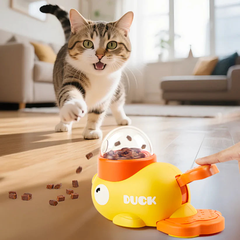 PawsFeeder